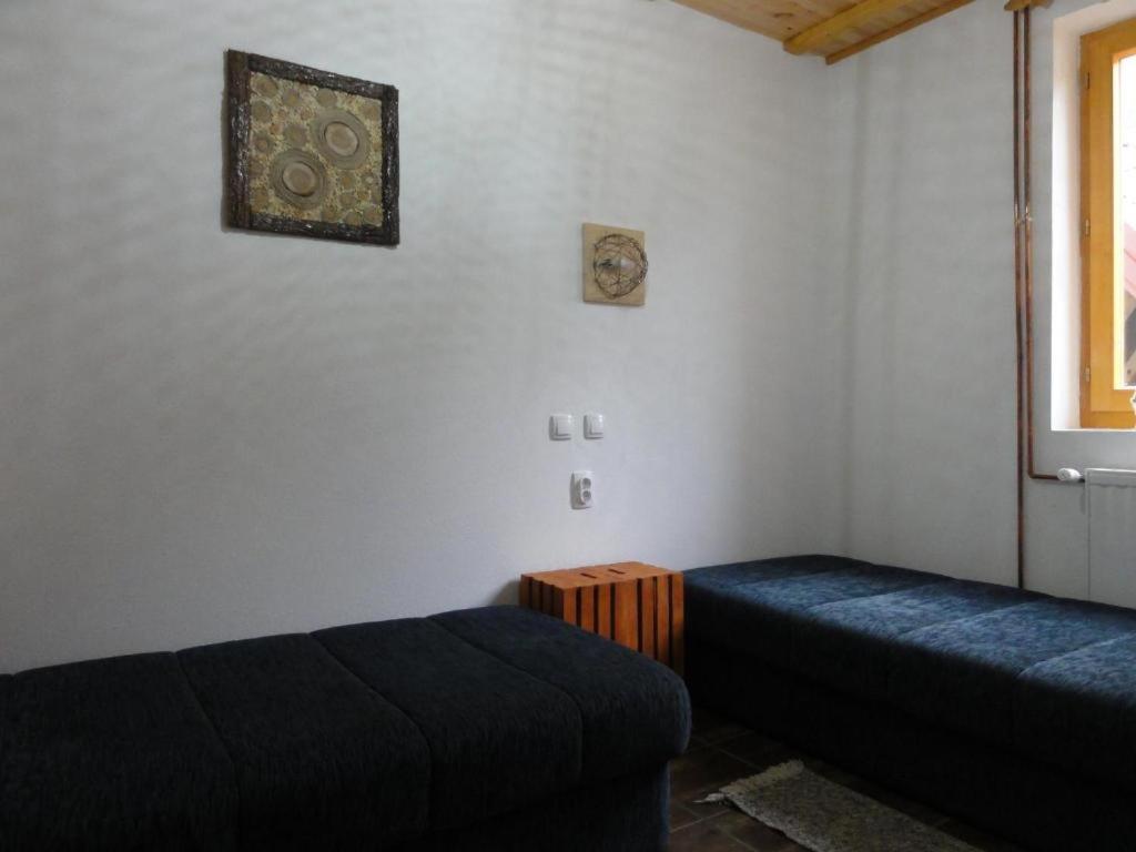 Staroplaninski Apartments Crni Vrh Екстер'єр фото