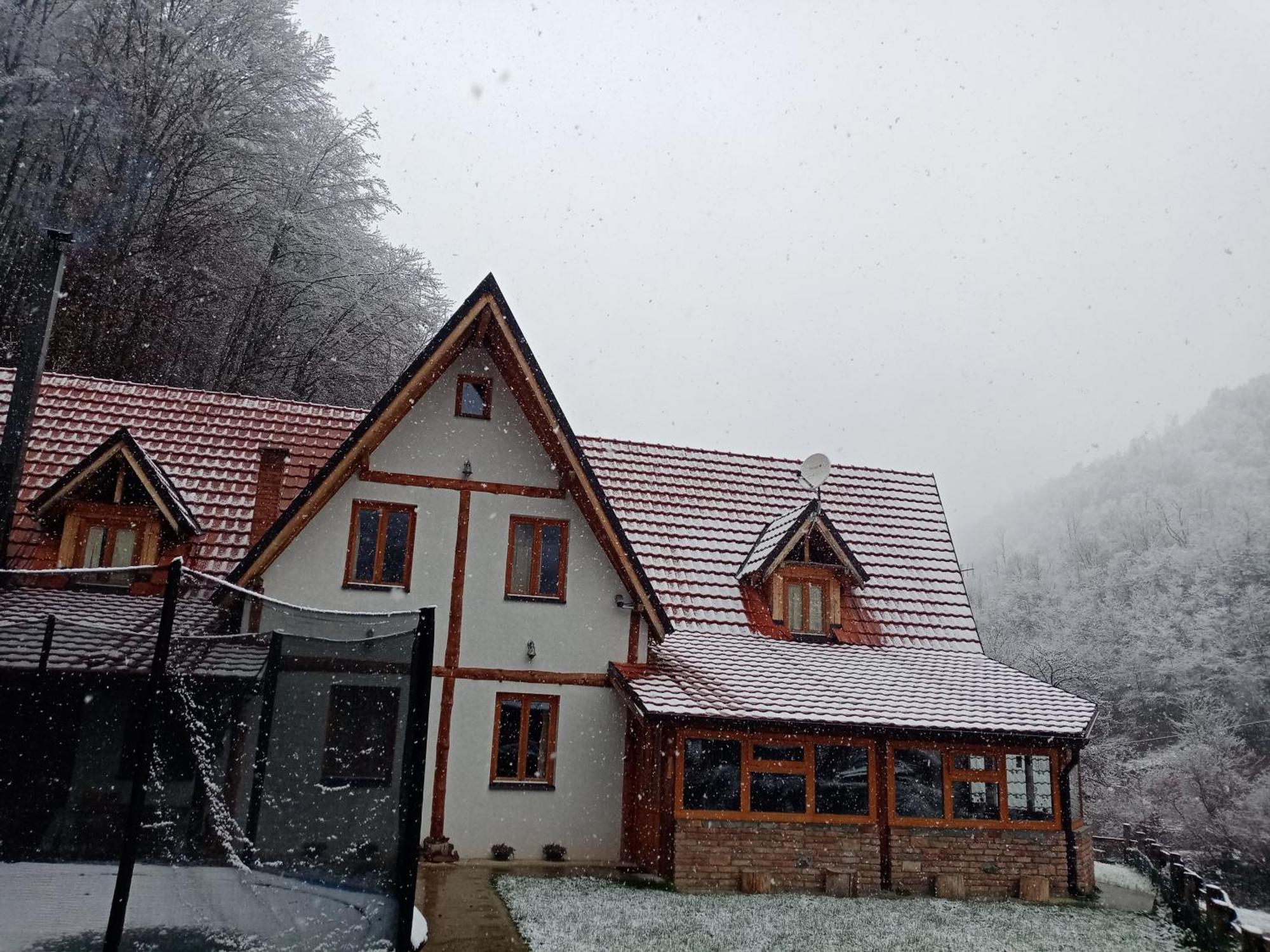 Staroplaninski Apartments Crni Vrh Екстер'єр фото